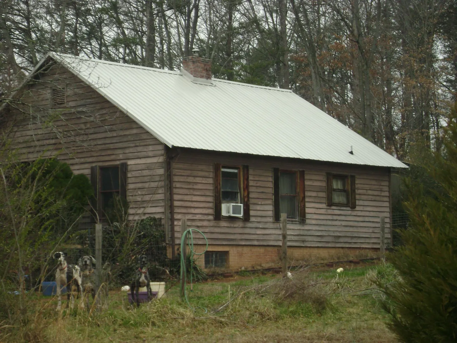 White metal roof on an old wood sided farmhouse, from a Metal Roof Installation job in Cross Fork